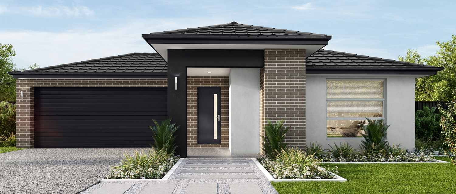 Avida-H&L-14m_Standard-2